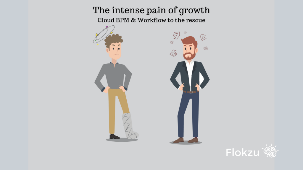The pain of growing your business could be seen in 3 areas: Team, Sales and Service.