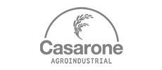casarone agroindustrial logo